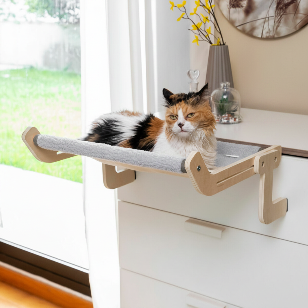 Chat calico détendu sur hamac près de la fenêtre